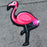 Pink Flamingo | Wall Art
